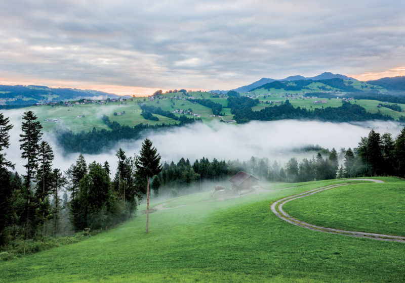 Bregenzerwald © Dietmar Walser / Vorarlberg Tourismus
