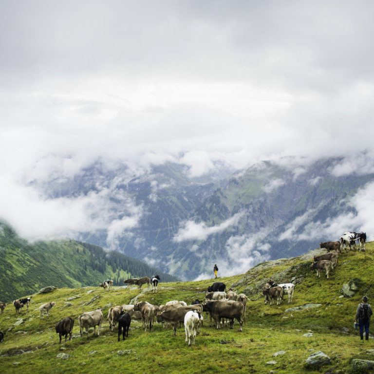 Langen am Arlberg (c) Darko Todorovic-Vorarlberg Tourismus © Darko Todorovic / Vorarlberg Tourismus Langen am Arlberg (c) Darko Todorovic-Vorarlberg Tourismus © Darko Todorovic / Vorarlberg Tourismus