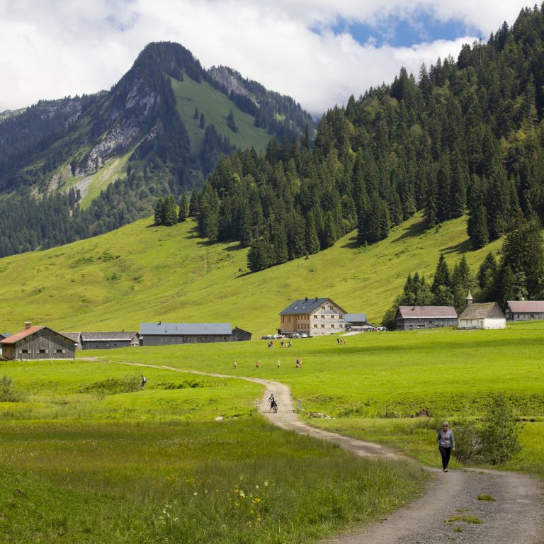 Wanderer gehen auf der Forststraße nach Schönenbach, im Hintergrund sind Wiesen, Wald, Häuser des Vorsäß Schönenbach und Berge zu sehen. Wanderer gehen auf der Forststraße nach Schönenbach, im Hintergrund sind Wiesen, Wald, Häuser des Vorsäß Schönenbach und Berge zu sehen.