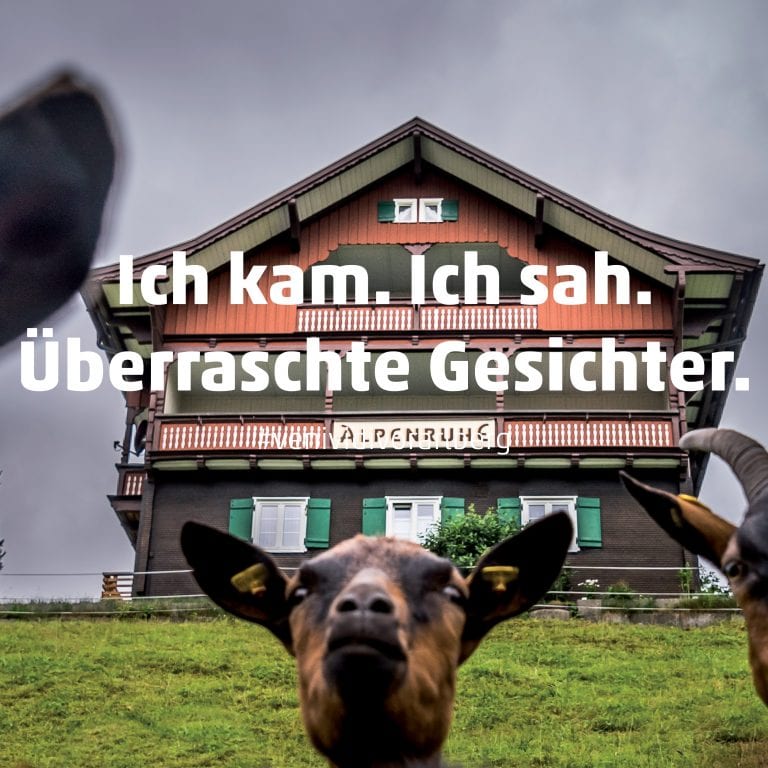 Sujet Sommerkampagne venividivorarlberg