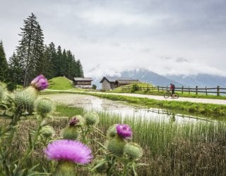 Foto: Dietmar Denger Foto: Dietmar Denger