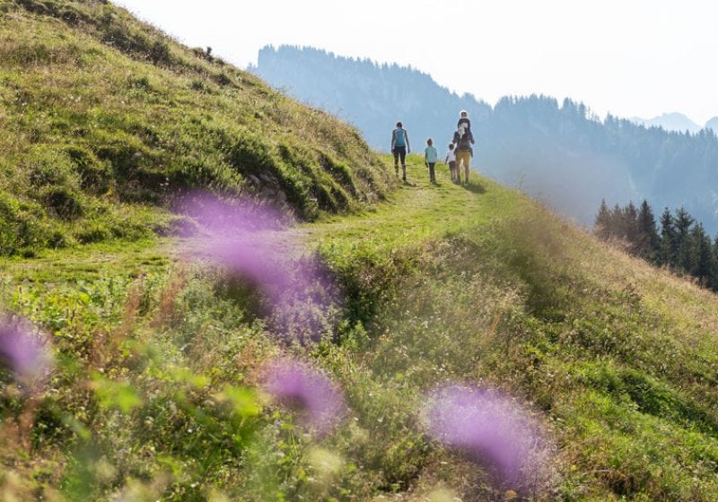 Familienwanderung in Bezau © Johannes Fink - Bregenzerwald Tourismus
