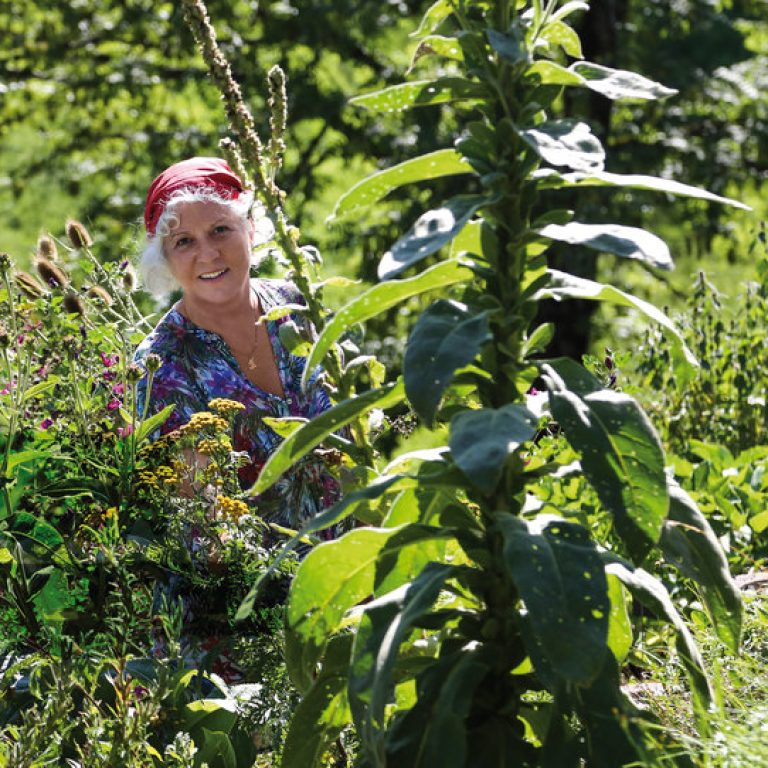 Kräuterfrau Eva Wachter Brandnertal (c) Joachim Negwer - Vorarlberg Tourismus Kräuterfrau Eva Wachter Brandnertal (c) Joachim Negwer - Vorarlberg Tourismus