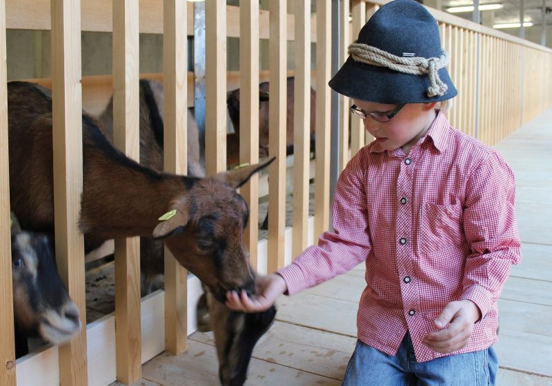 Metzler Bauerhof begreifen - Tourismus Innovationspreisträger 2012