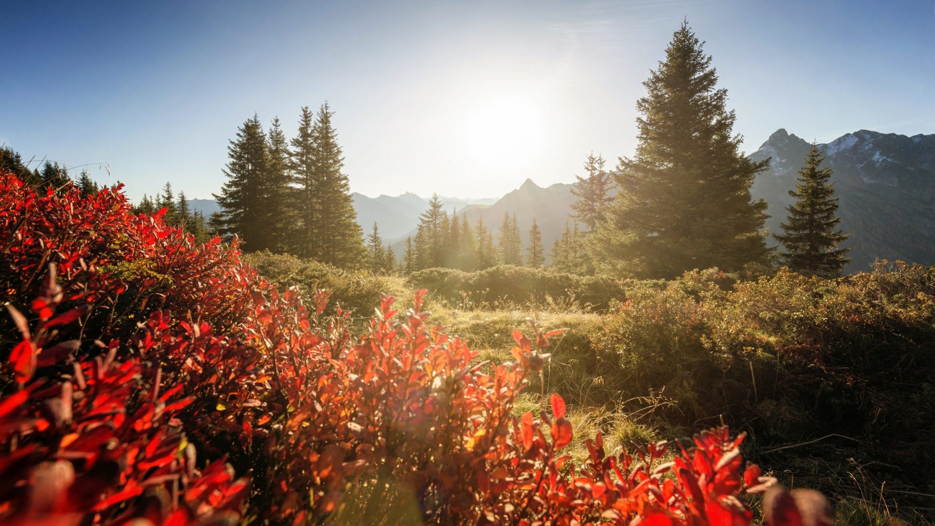 Gauertaler AlpkulTour im Herbst (c) Andreas Haller - Montafon Tourismus GmbH, Schruns