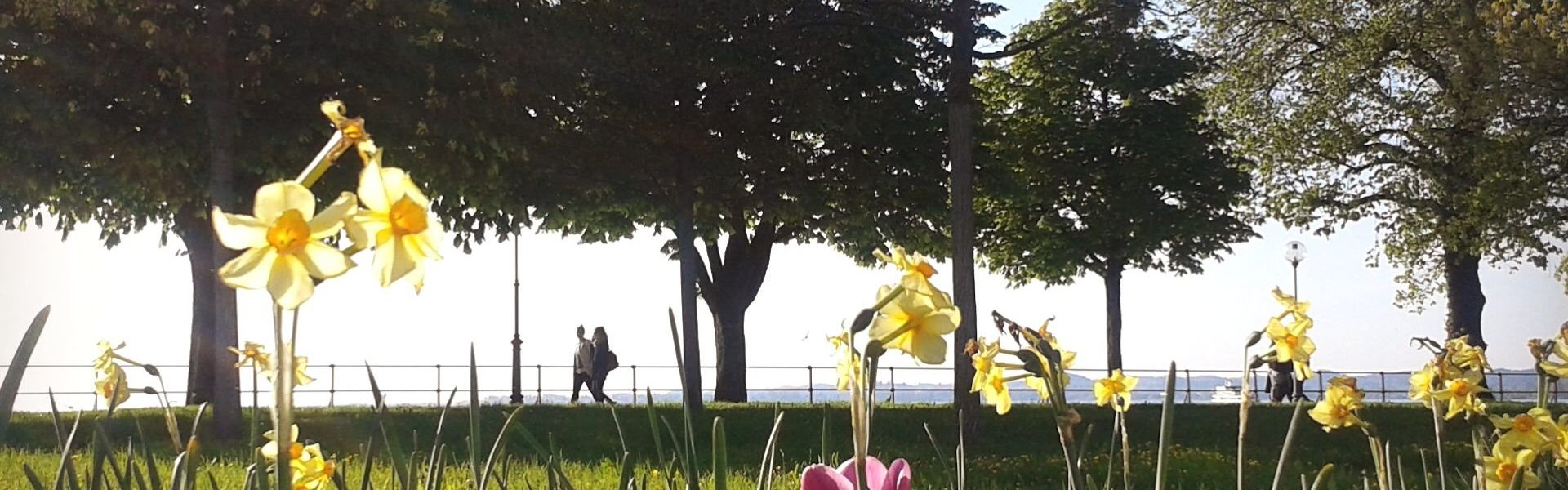 Bregenz im Frühling © Verena Hetzenauer / Vorarlberg Tourismus GmbH