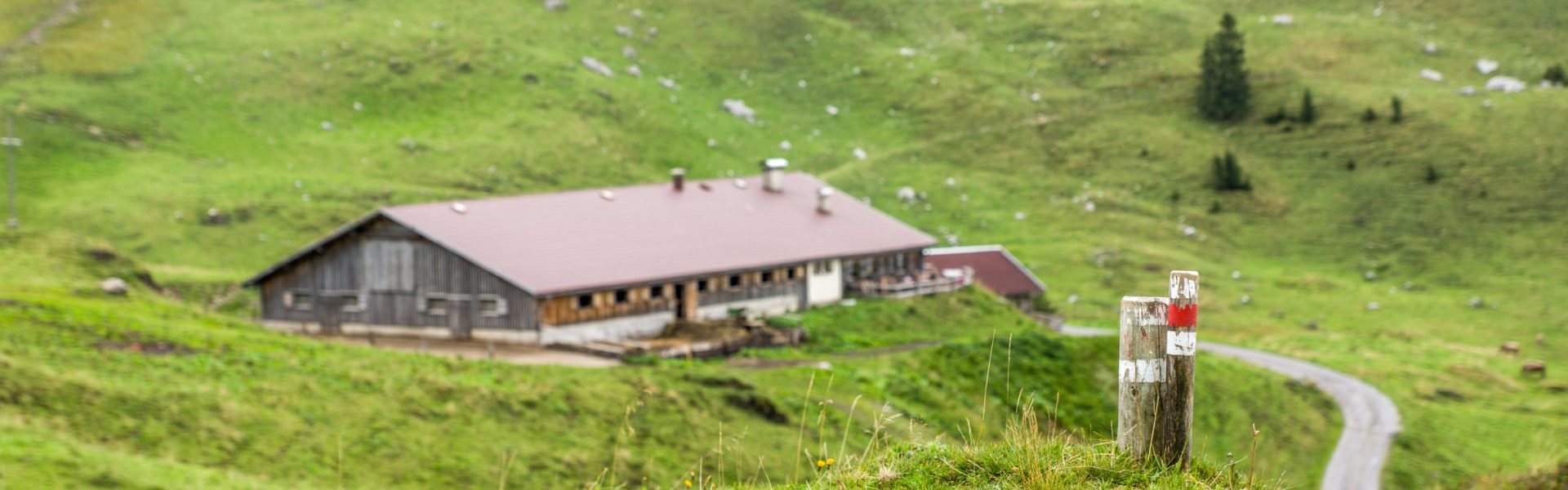 Blick auf Alpe Obere, Mellau (c) Helmut Düringer - Vorarlberg Tourismus GmbH