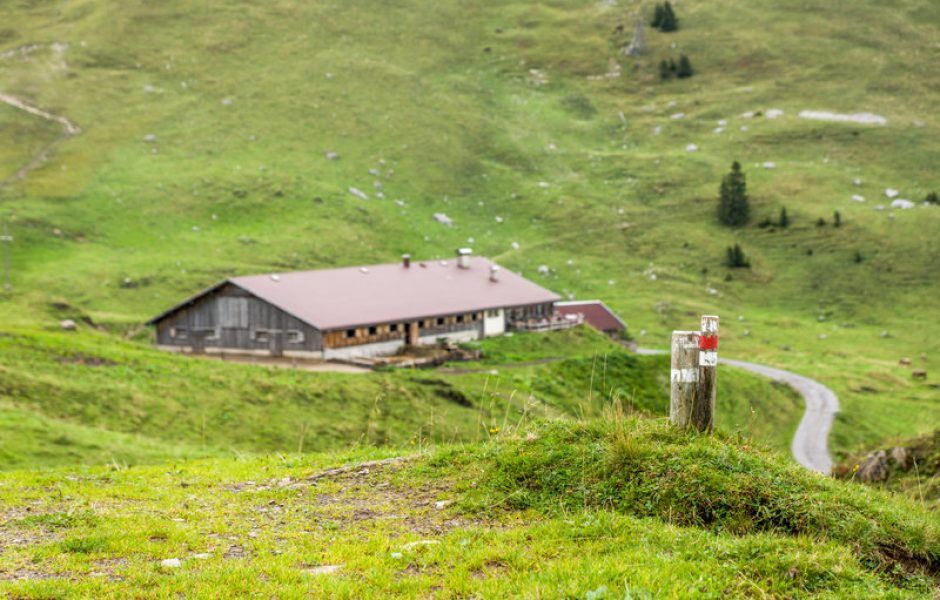 Blick auf Alpe Obere, Mellau (c) Helmut Düringer - Vorarlberg Tourismus GmbH