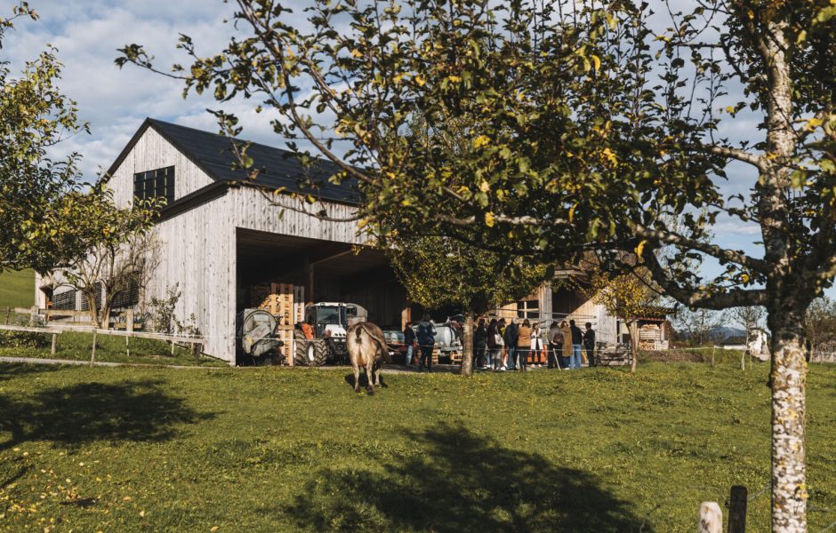 Biohof Lingenhel (c) Angela Lamprecht - Vorarlberg Tourismus