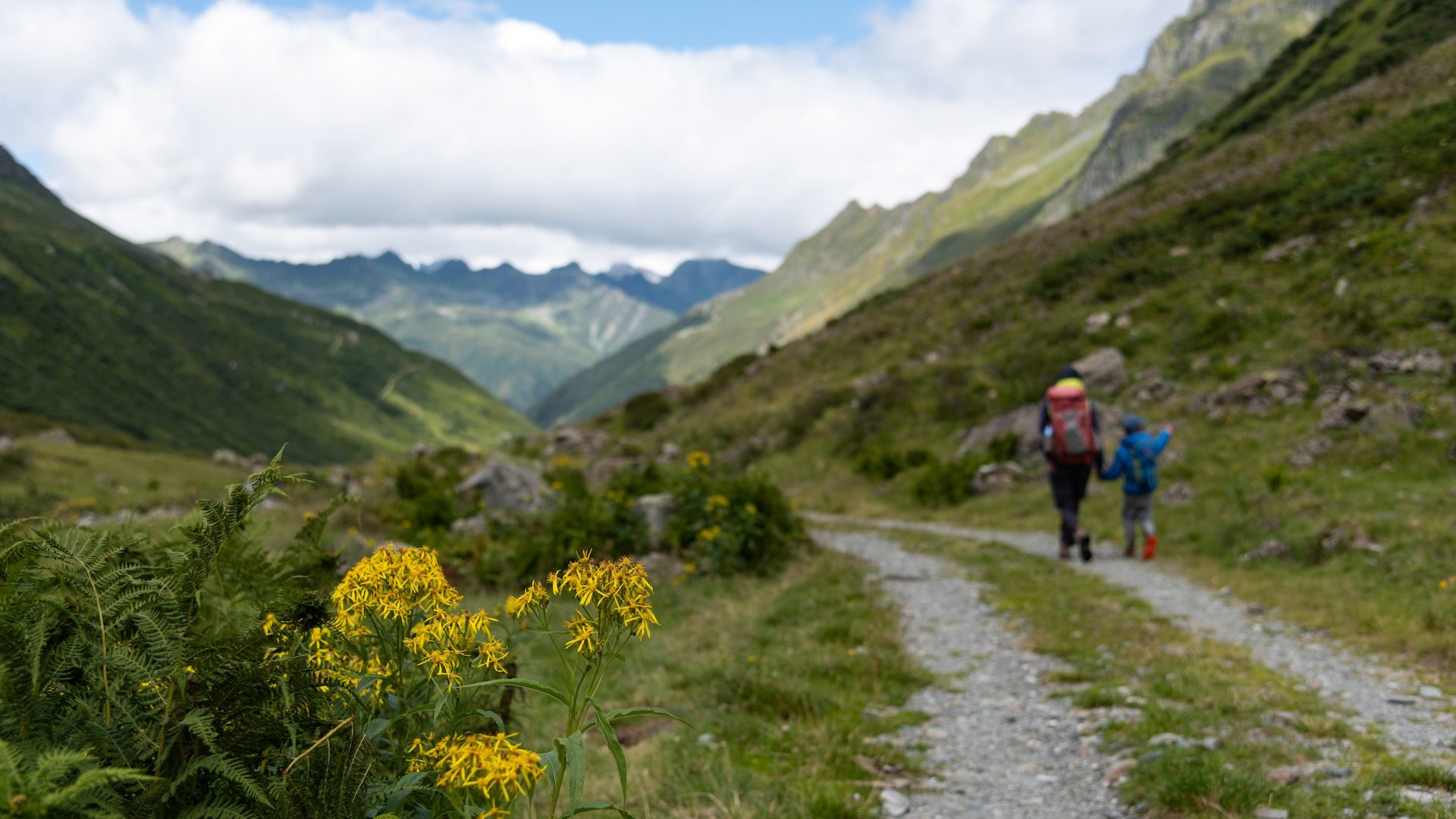 Vergaldner Tal © Martin Vogel / Vorarlberg Tourismus