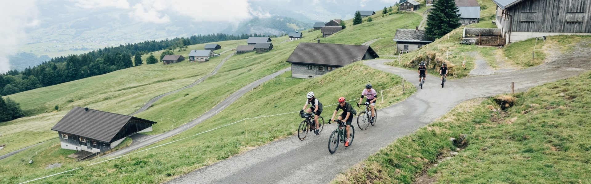 Into the Wold (c) buero balanka