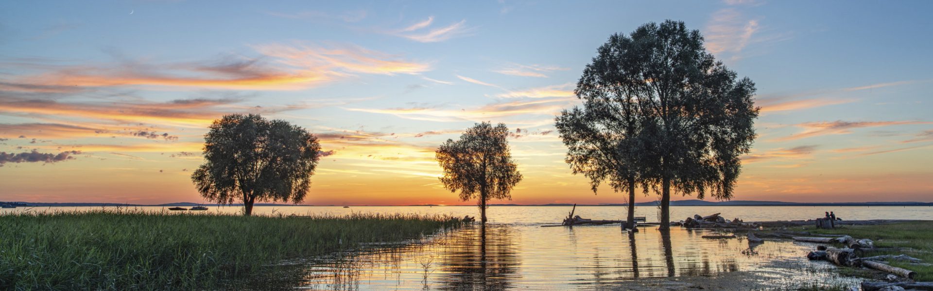 Abendstimmung am Rohrspitz am Bodensee: Es sind drei Bäume und Wasser zu sehen, am Ufer im Vordergrund liegt Schwemmholz. Abendstimmung am Rohrspitz am Bodensee: Es sind drei Bäume und Wasser zu sehen, am Ufer im Vordergrund liegt Schwemmholz.