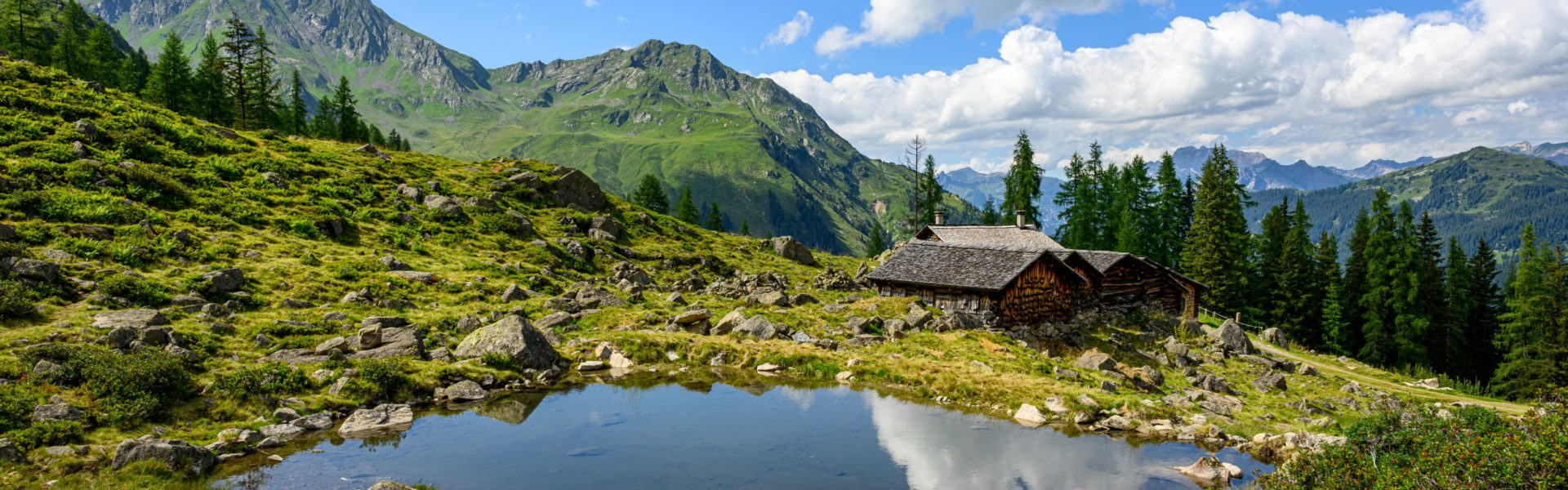 Alpguesalpe Silbertal © Michael Kemter / Vorarlberg Tourismus