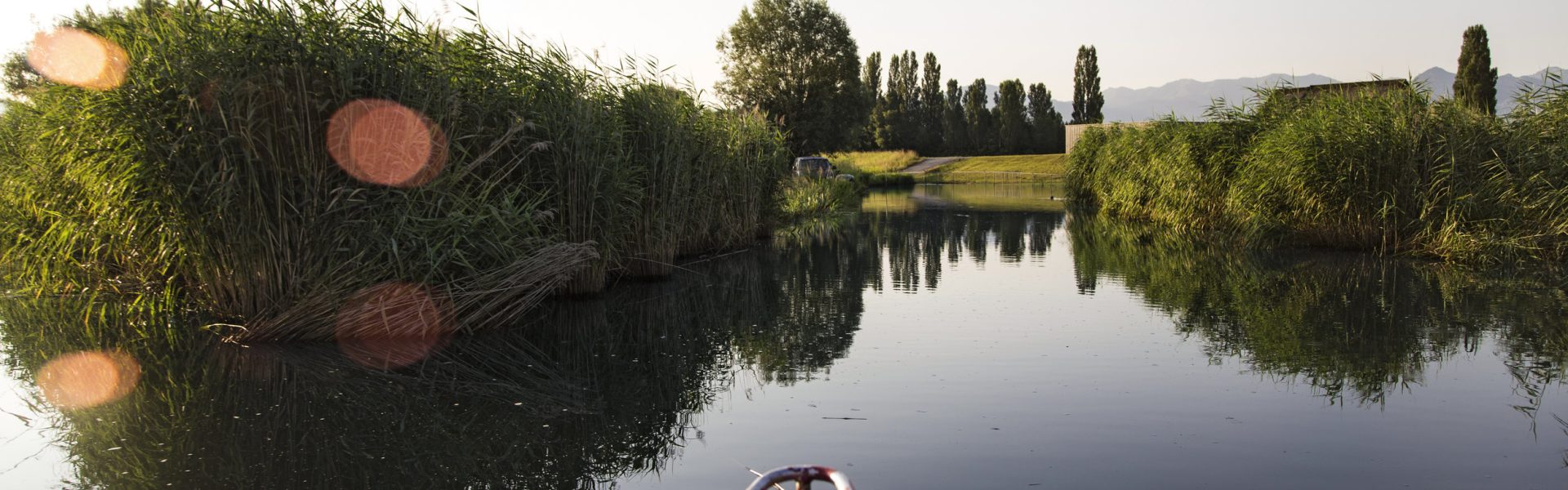 Fischer Franz Blum Rohrspitz Fußach © Joachim Negwer / Vorarlberg Tourismus