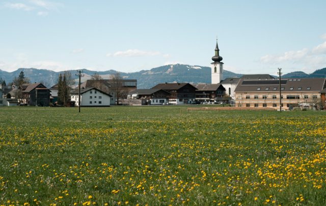 Blick auf Hittisau mit Pfarrkirche und blühender Frühlingswiese im Vordergrund