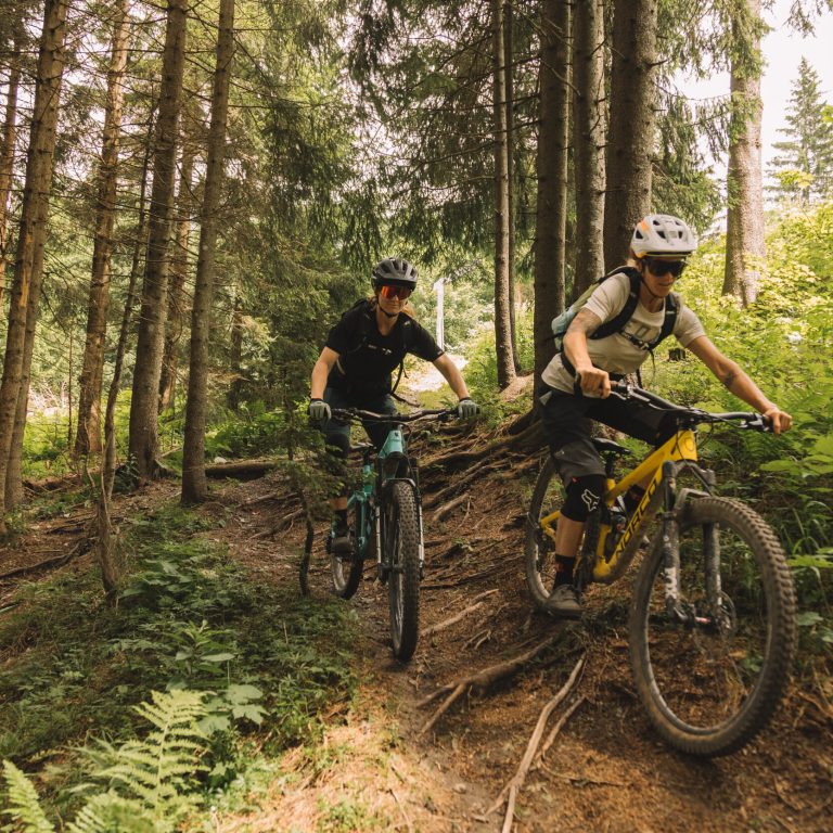 Mountainbiker:innen fahren auf einem wurzeligen Singletrail am Muttersberg bei Bludenz in Vorarlberg, umgeben von dichtem Wald, hohen Nadelbäumen und sommerlichem Grün.